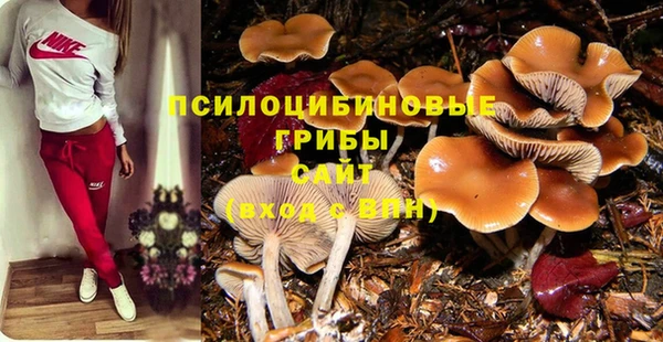 PSILOCYBIN Белоозёрский